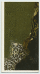 A famous picture in 48 sections