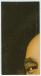 A famous picture in 48 sections
