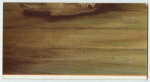 A famous picture in 48 sections