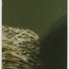 A famous picture in 48 sections
