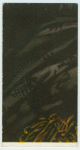 A famous picture in 48 sections