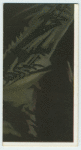 A famous picture in 48 sections