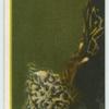 A famous picture in 48 sections