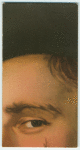 A famous picture in 48 sections
