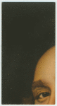 A famous picture in 48 sections