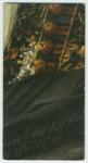A famous picture in 48 sections
