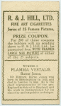 Flamma Vestalis.