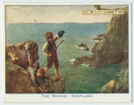 The Bonxie Shetland.