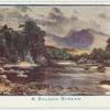 A Salmon Stream.