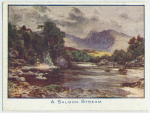 A Salmon Stream.