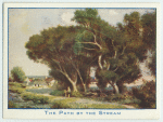 The Path by the Stream.
