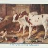 The Dog in the Manger.