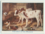The Dog in the Manger.