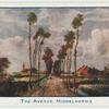 The Avenue, Middelharnis.