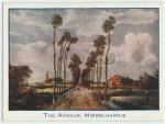 The Avenue, Middelharnis.
