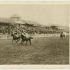 Lingfield.