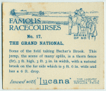 The Grand National.