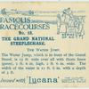 The Grand National Steeplechase.