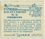 Punchestown.