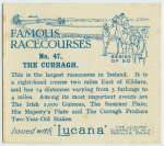The Curragh.