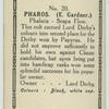 Pharos.