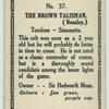 The Brown Talisman.