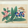 Flowers and butterfly