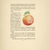 Historique cont. Illustration of pomme de Paris