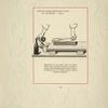 Fig. 2. Distribution de la couleur dans le pompon. [Pattern of tulips.]