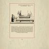 Fig. 3. Repérage du pochoir. [Pattern of tulips.]