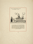 ig. 8. On se sert de la brosse à virole pour des grandes surfaces ou pour des teintes opaques [...] [Pattern of flowering tree.]