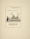 Fig. 13. Démonstration du dégradé. - I. [Pattern of flowering tree.]
