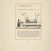 Fig. 13. Démonstration du dégradé. - II [Pattern of berries and leaves.]