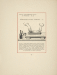 Fig. 13. Démonstration du dégradé. - II [Pattern of berries and leaves.]