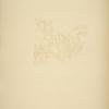 Facing, acknowledgements. Pattern of squirrel on a branch