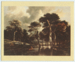 Ruysdael.  The chace.