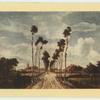 Hobbema.  Avenue at Middelharnis.