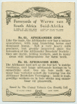 Afrikander cow.