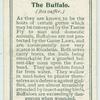 The Buffalo.