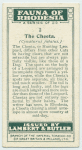 The Cheeta.