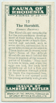 The Hornbill.