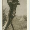 The Pangolin.