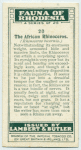 The African Rhinoceros.