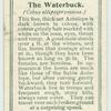 The Waterbuck.