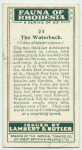 The Waterbuck.