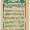 Double Geranium.
