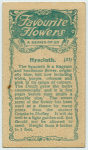 Hyacinth.