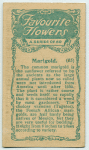 Marigold.