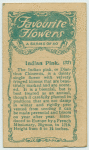 Indian Pink.