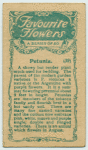 Petunia.